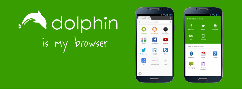 Dolphin browser