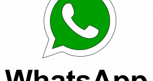 La spunta verde, il mini editor e la pubblicità in chat: ecco le ultime novità del 2017 messe in atto da WhatsApp per evitare in particolar modo le truffe e rendere l'utilizzo della chat più semplice.