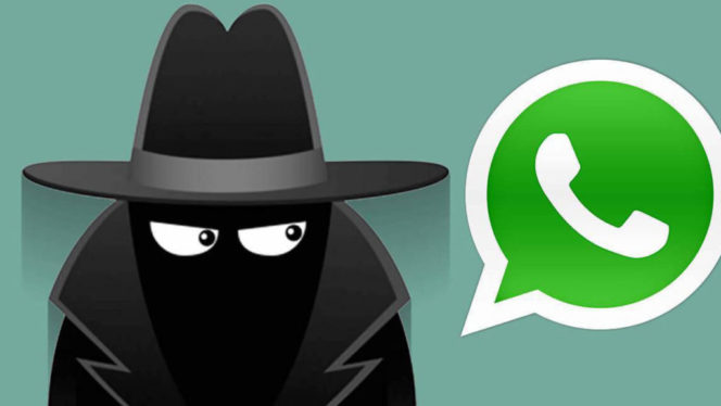 WhatsApp-la-nuova-funzione-non-%C3%A8-accolta-bene-trucchi-per-creare-collegamenti-tra-chat
