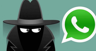 WhatsApp con profilo segreto, ecco come rendersi invisibili