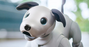 Intelligenza artificiale: torna Aibo, il cane robot di Sony dopo 10 anni di oblio. Nuove tecnologie e IA super avanzata per l'animale domestico.