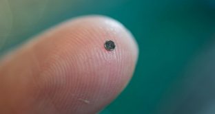 Sta per diventare realtà il computer più piccolo del mondo, un chip microscopico, dalle dimensioni di un granello di sale. Produrlo costerà 10 centesimi.