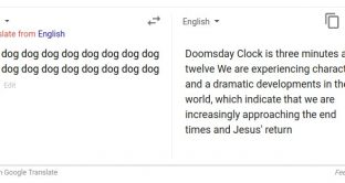 Problemi per Google Translate o improvvisa vocazione profetica? Ecco lo strano caso delle profezie del cane (dog)