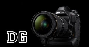 La D6 di Nikon ha caratteristiche da record, con un autofocus che batte la concorrenza.