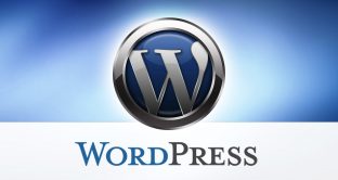 Brutte notizie per chi lavora con Wordpress, ecco il bug che può cancellare tutti i vostri contenuti.