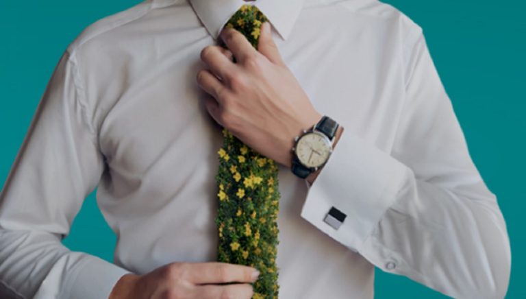 Tutte le novità annunciate dalle compagnie di navigazione Tirrenia e Moby anche sul cambio di prenotazione.