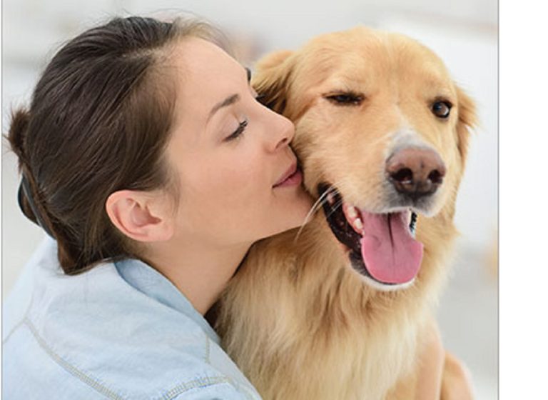 Le regole di trasporto animali ed i costi su treni regionali Trenitalia.