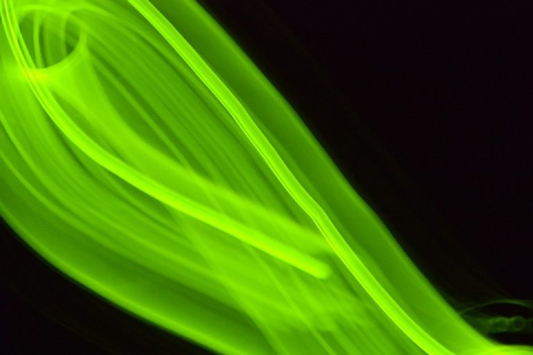 Dall'analisi di Selectra si evince che il 73%  dei fornitori di energia elettrica propone  solo offerte green o che hanno un'opzione verde.