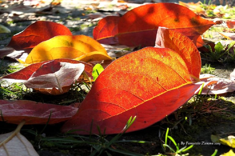 Piccoli suggerimenti per risparmiare sulla bolletta della luce anche in autunno.