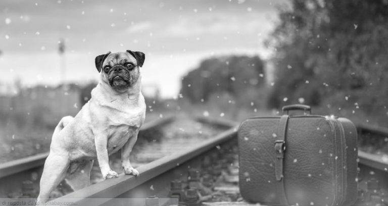 A breve servizio ferroviario passeggeri