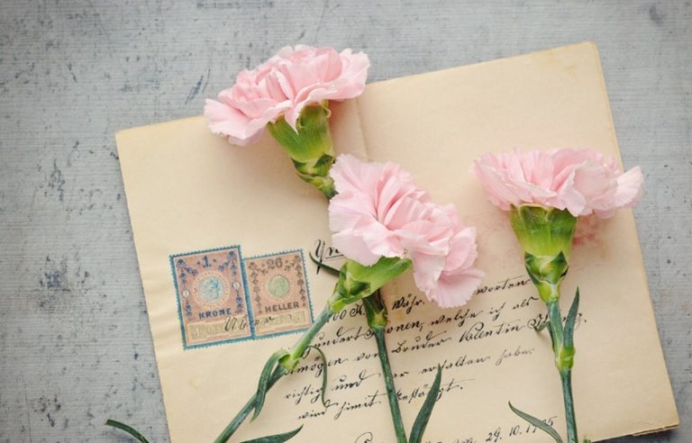 Ecco alcune idee regalo Wwf ed Emergency eque e solidali.