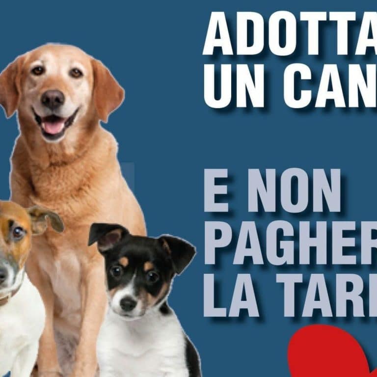 Nel piccolo Comune di Rose, l’adozione di cani e gatti vale uno sconto sulla TARI fino a 250 euro. L’incentivo, benché lodevole, ha già sollevato polemiche di ogni genere.