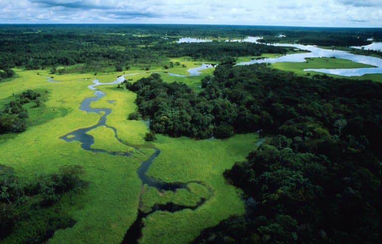 Via libera alle trivelle in Amazzonia, il più grande polmone verde del mondo. Per gli ambientalisti "Sarà una catastrofe ambientale".