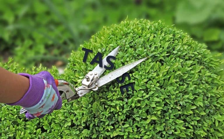 Saranno compensabili crediti e debiti da transazioni documentate da fattura elettronica.