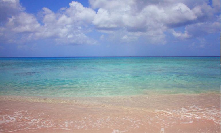 Lavorare da remoto in un paradiso in Terra. Il sogno è diventato realtà, dopo che le Isole Barbados hanno annunciato un visto speciale per gli "smart workers". E tira aria di totale indipendenza da Londra.