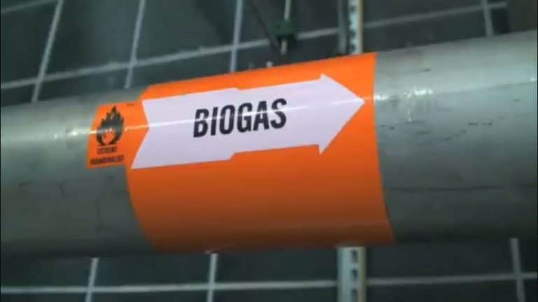 Incentivi biogas 2018: quelli confermati, procedura domanda e scadenza. Ecco i riferimenti normativi.