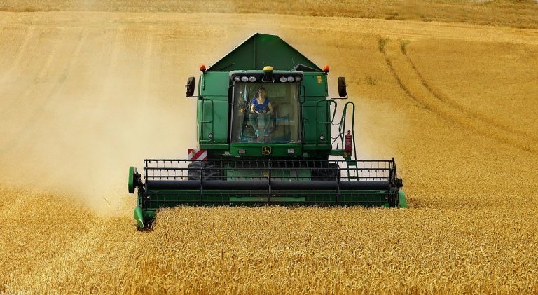 Bonus lavoratori agricoli 2021, le ipotesi al vaglio: quando e come verranno accreditati e cosa prevede il decreto Sostegni bis.