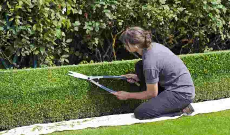 Non solo proprietari di casa: ecco a chi spetta il bonus verde e come ottenerlo da inquilini o usufruttari.