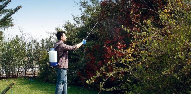 Combattere le zanzare in giardino: quali interventi danno diritto al bonus verde?