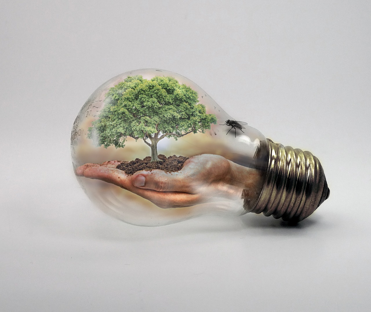 Il riscaldamento globale colpisce i più poveri, ovviamente