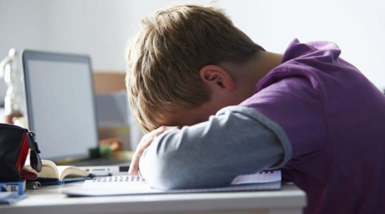 Bullismo e Cyberbullismo: pene più severe con la nuova proposta di legge: istituzione del docente-referente, oscuramento del web, stalker informatico, ammonimento del questore.