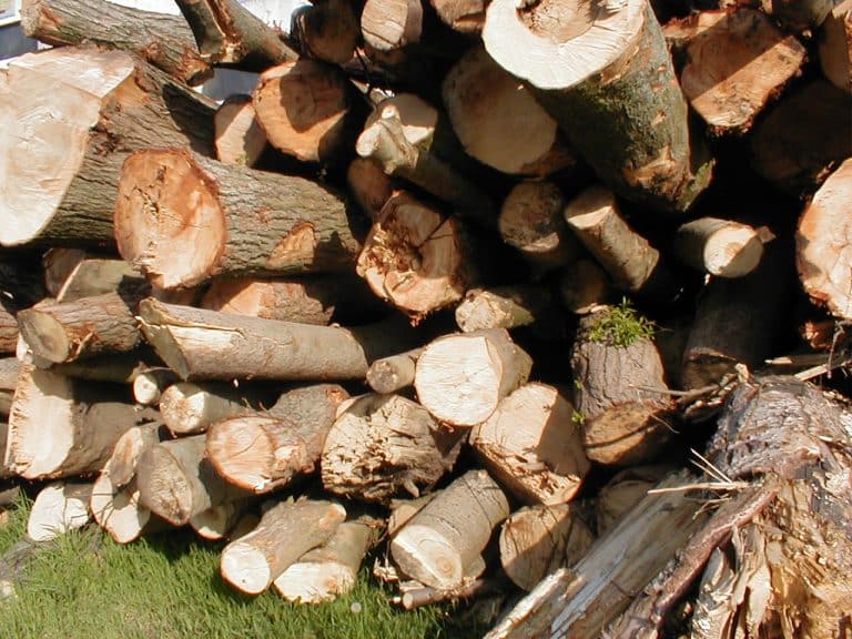 Camini e stufe: quale detrazione si può richiedere? 50% o 65%? Ecco cosa prevede la Legge di Stabilità 2016