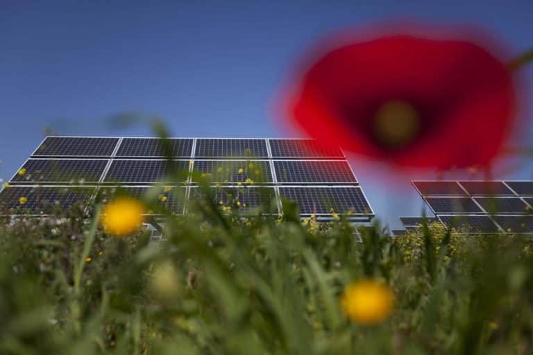 Obbligazioni verde emesse a un rendimento negativo e con scadenza a 5 anni. Analizziamo il bond e cerchiamo di capirne la convenienza.