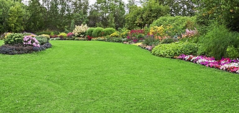 Tante le novità della legge di Bilancio 2018, compreso anche il bonus per terrazzi e giardini, con una detrazione del 30%.