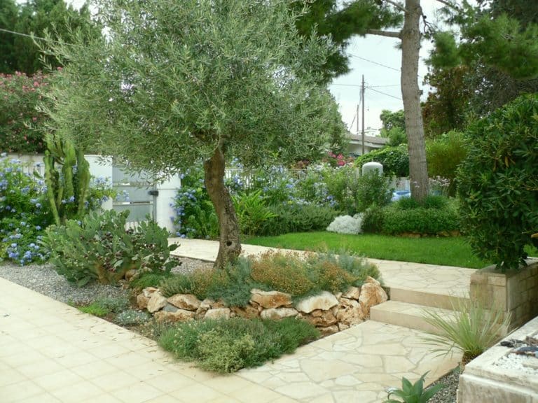 Villette a schiera con giardini confinanti: che cosa sapere sul bonus verde. A chi spetta la detrazione, come va suddivisa e per quali interventi.