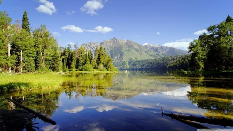 Mercato "green" in pieno boom