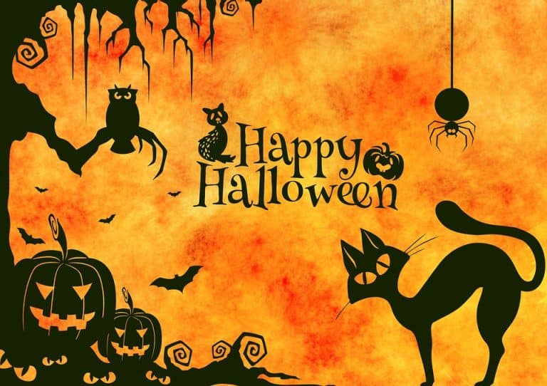 Ecco l'origine con Jack O’ Lantern di  Halloween, le offerte di Rainbow MagicLand del 31 ottobre 2016 e dpve trovare biglietti auguri da stampare per risparmiare.