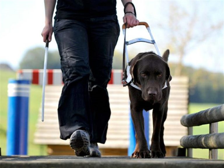 Col decreto di Agosto scattano gli aumenti delle pensioni di invalidità civile al 100%. Aumenti dal 20 luglio e data di pagamento probabile.