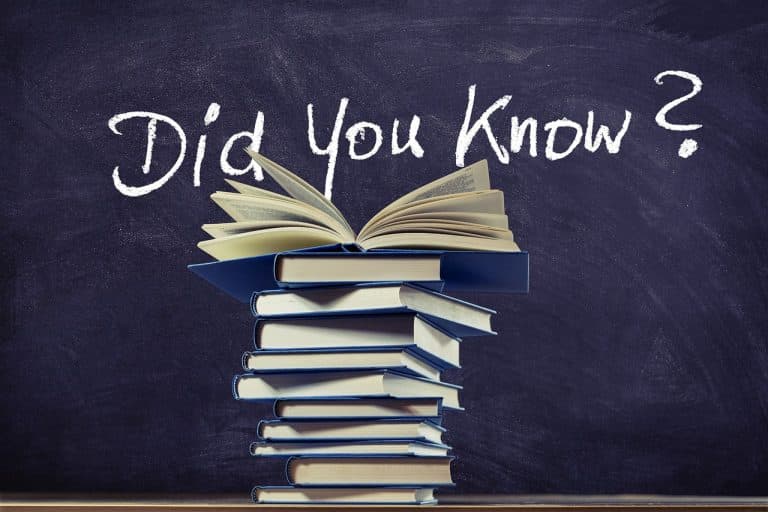 Il bonus ristrutturazione, se si riferisce a spese 2020 e 2021, può essere ceduto nella forma del credito d’imposta a terzi soggetti