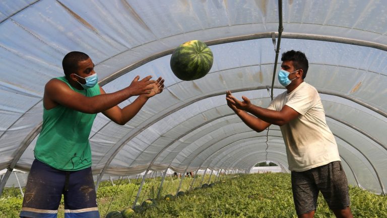 Regolarizzati meno di un lavoratore straniero su tre. La sanatoria sul lavoro nero dei migranti ha fatto fiasco. Ecco perchè.