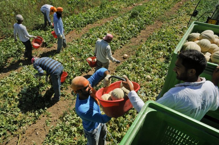 Tutti i cosi sostenuti dai migranti per ottenere il permesso di soggiorno e un contratto di lavoro regolare.