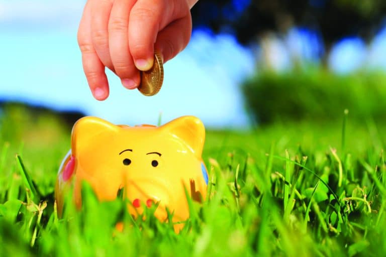 Le imprese agricole possono presentare i progetti per accedere ai finanziamenti concessi dalla misura “Mutui a tasso zero Campolibero”: ecco come fare la domanda per l'agevolazione.