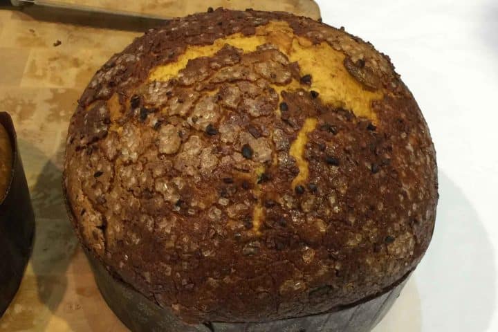 panettone