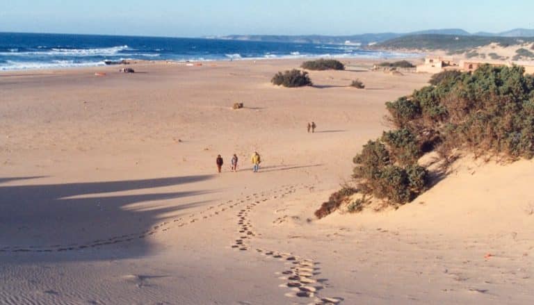 Nuove regole per le spiagge durante l'estate 2020: dagli ombrelloni distanti, alle app e le fasce orarie.