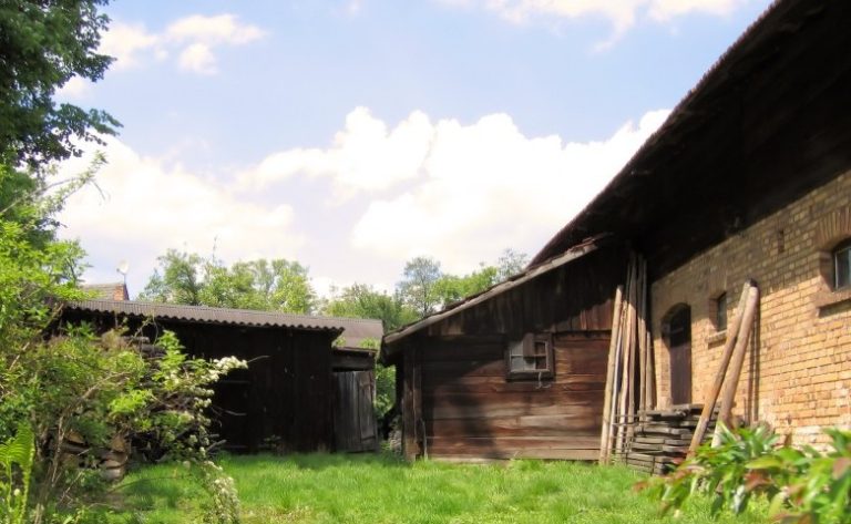 Prelazione agraria, ecco quando e come si esercita e quando è esclusa.
