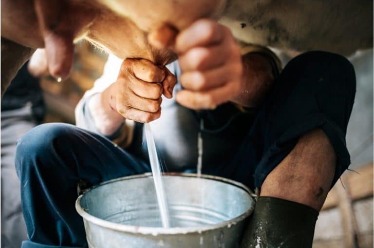 Le quote latte non esistono più da oggi. Ecco cosa potrebbe accadere per produttori e consumatori italiani.