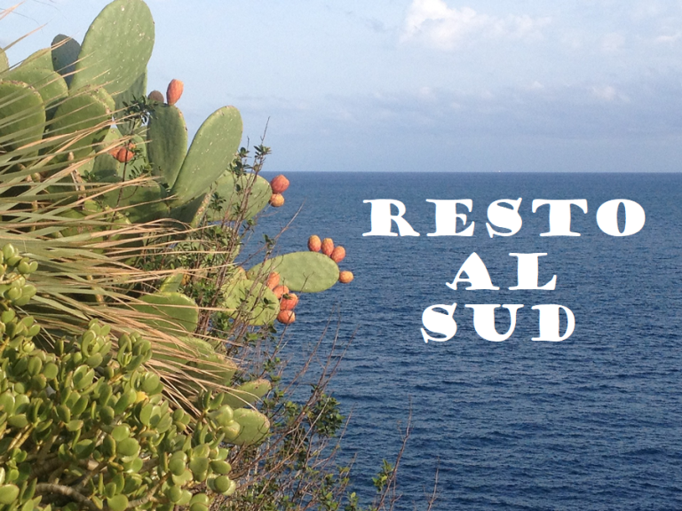 Resto al Sud: panoramica sulle domande inviate, quelle approvate, tempi risposta ed erogazione contributo. I dati Invitalia aggiornati sugli incentivi per le imprese delle regioni del sud Italia.