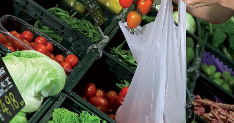 Il Ministero della Salute ha annunciato che non c'è più l'obbligo dell'acquisto dei sacchetti biodegradabili dentro i supermercati.