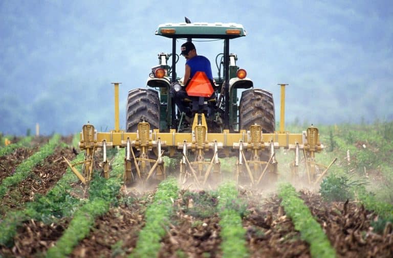 Esenti dall’informativa antimafia, fino al 31 dicembre 2021, i produttori agricoli che facciano richiesta di accesso a fondi europei