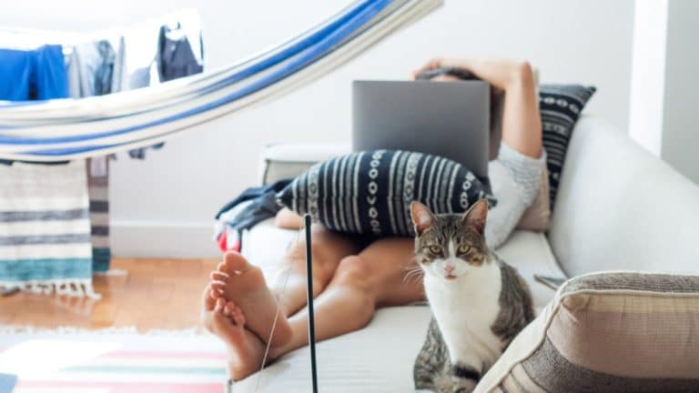 Dichiarare di vivere da solo per ottenere il reddito di cittadinanza: cosa rischia chi altera l'Isee familiare.