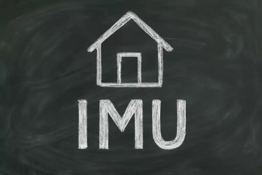 imu