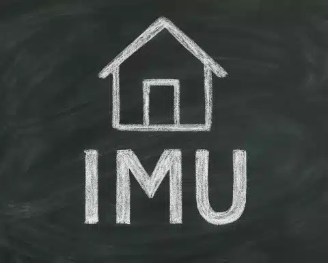 imu