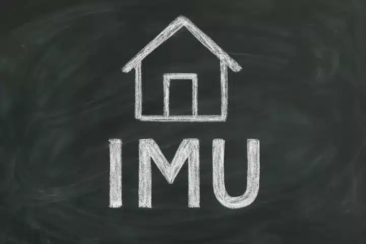 imu