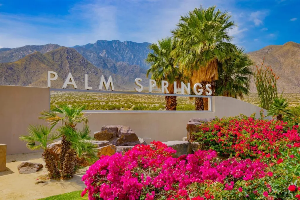palm spring