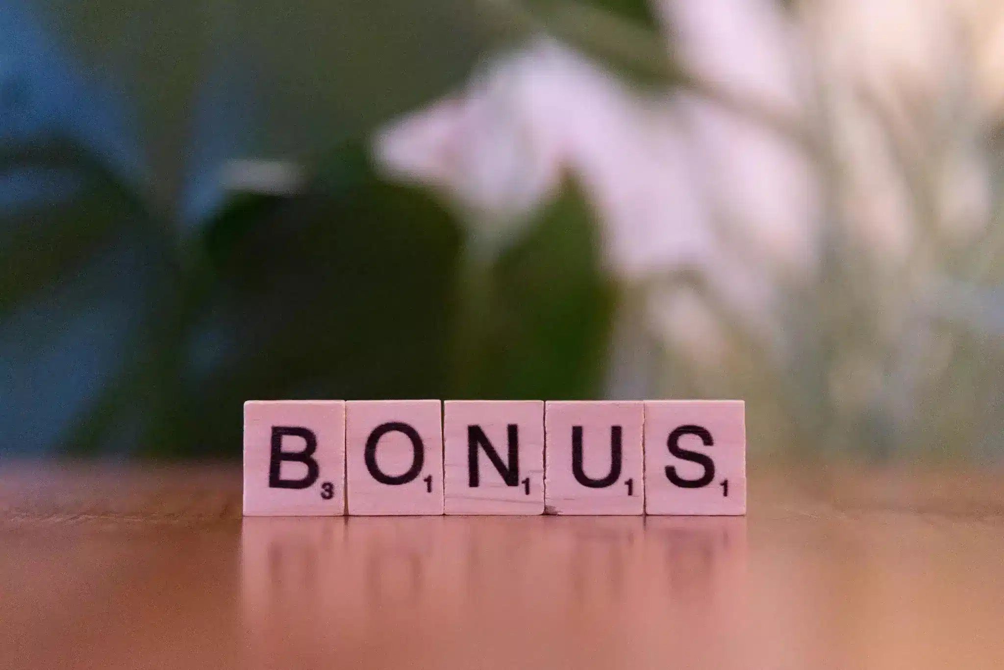 pensione vecchiaia e bonus giorgetti