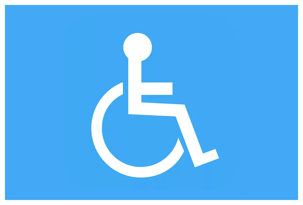 104 Carta Europea della Disabilità